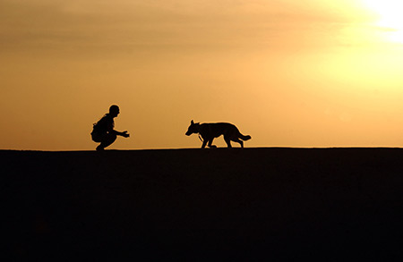 First Vets Weight Management Clinics