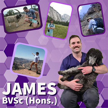 James - Veterinarian at First Vets Whanganui