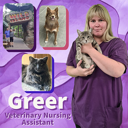 Greer - Veterinary Nursing Assistant