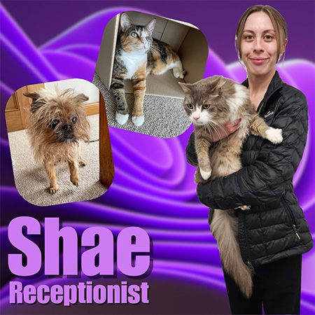 Shae - Receptionist